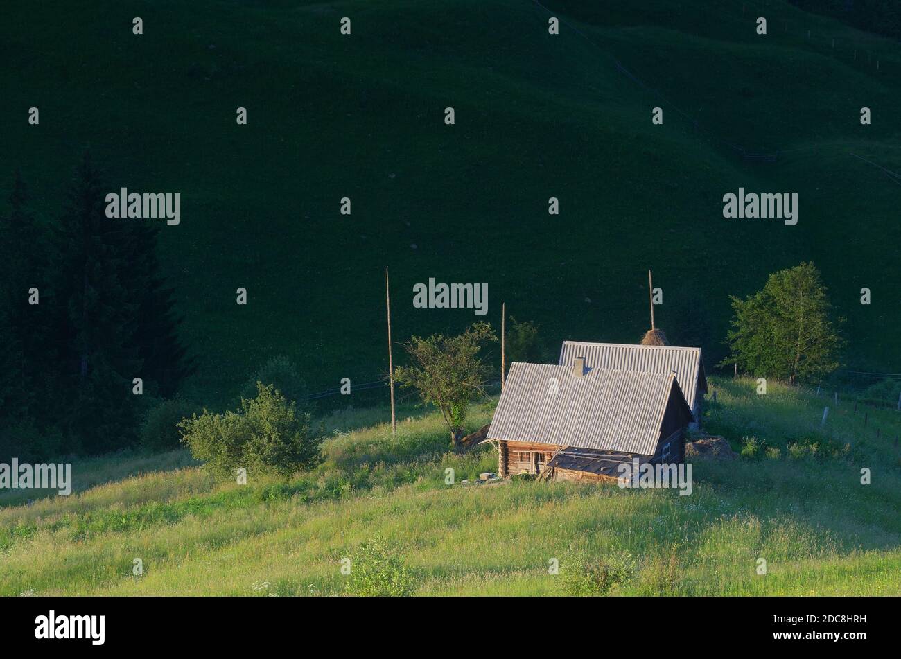 Casa sul prato soleggiato nel villaggio di montagna. Un posto favoloso. Carpazi, Ucraina, Europa Foto Stock