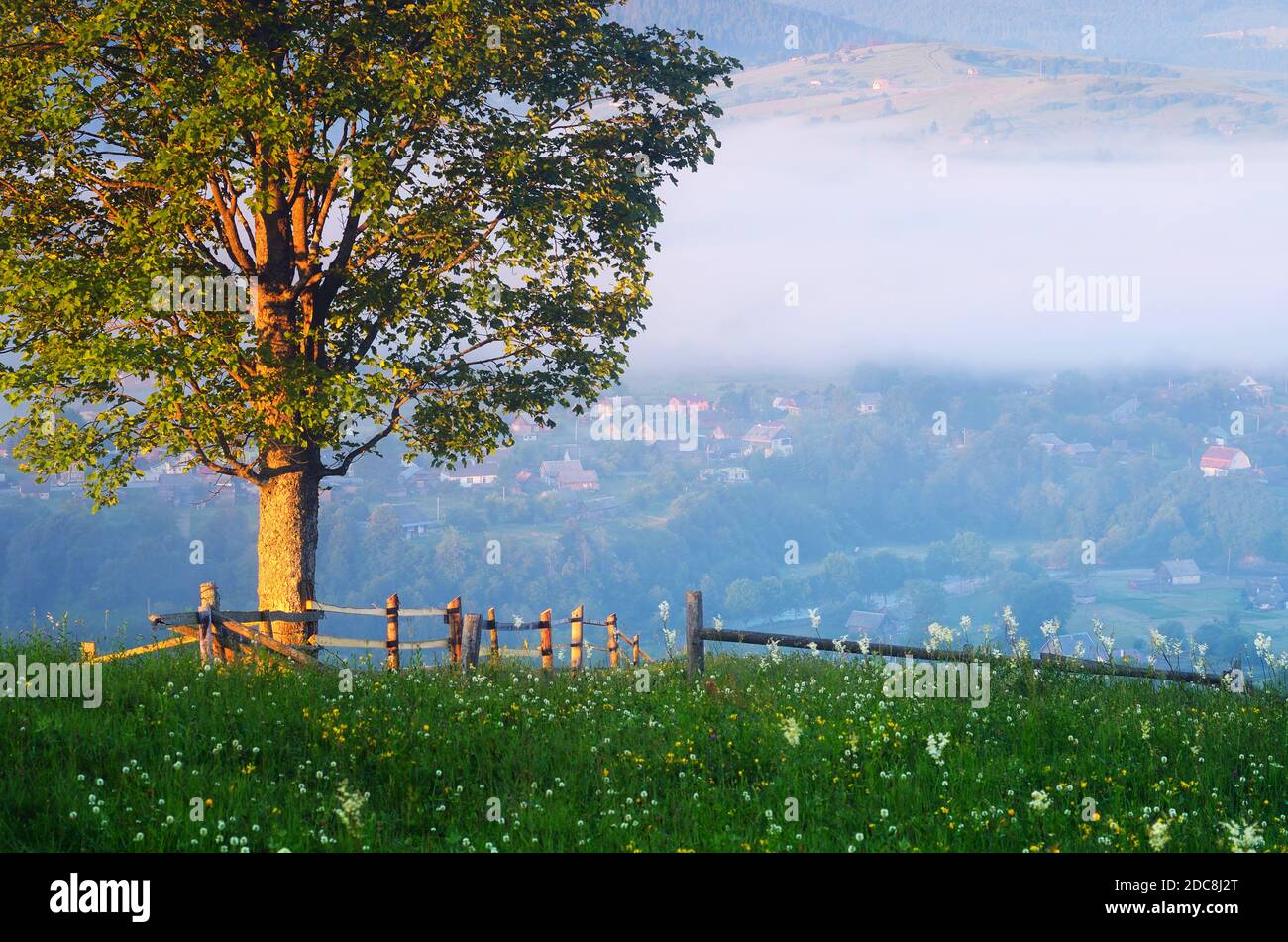 Paesaggio estivo con recinzione e un albero solone su una collina. villaggio di montagna Foto Stock