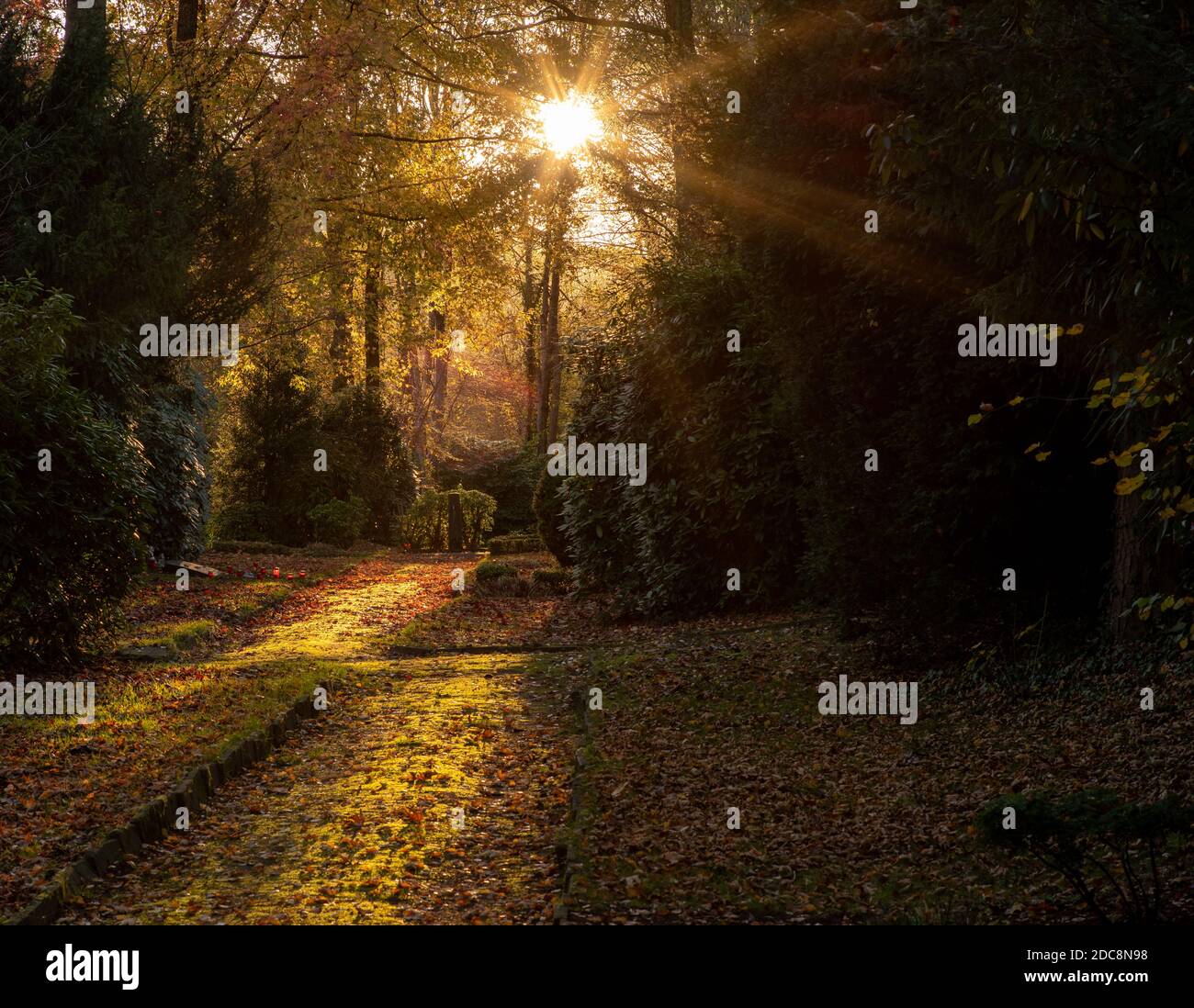 Cammina attraverso un cimitero contro il sole che tramonta a novembre, il concetto di speranza e dolore Foto Stock