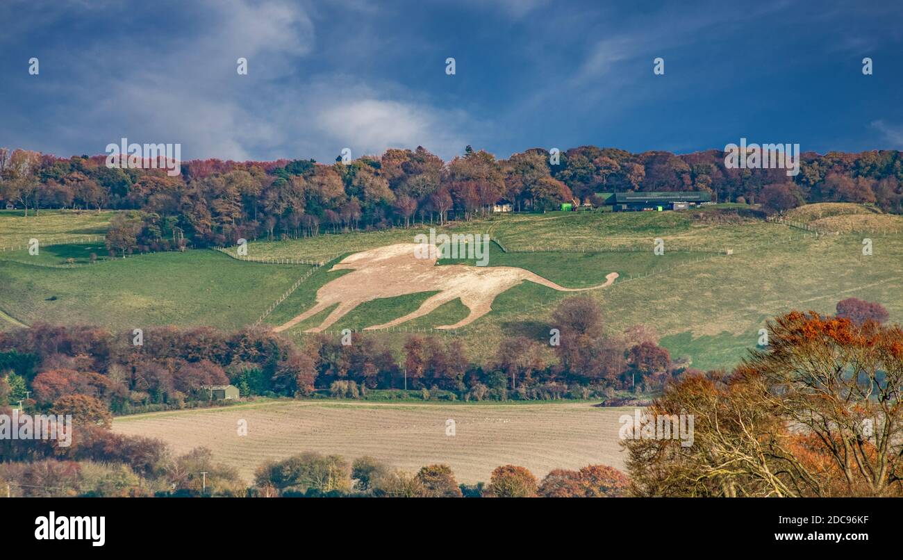 Whipsnade leone bianco Dunstable Downs Bedfordshire creato nel 1933 Inghilterra Foto Stock