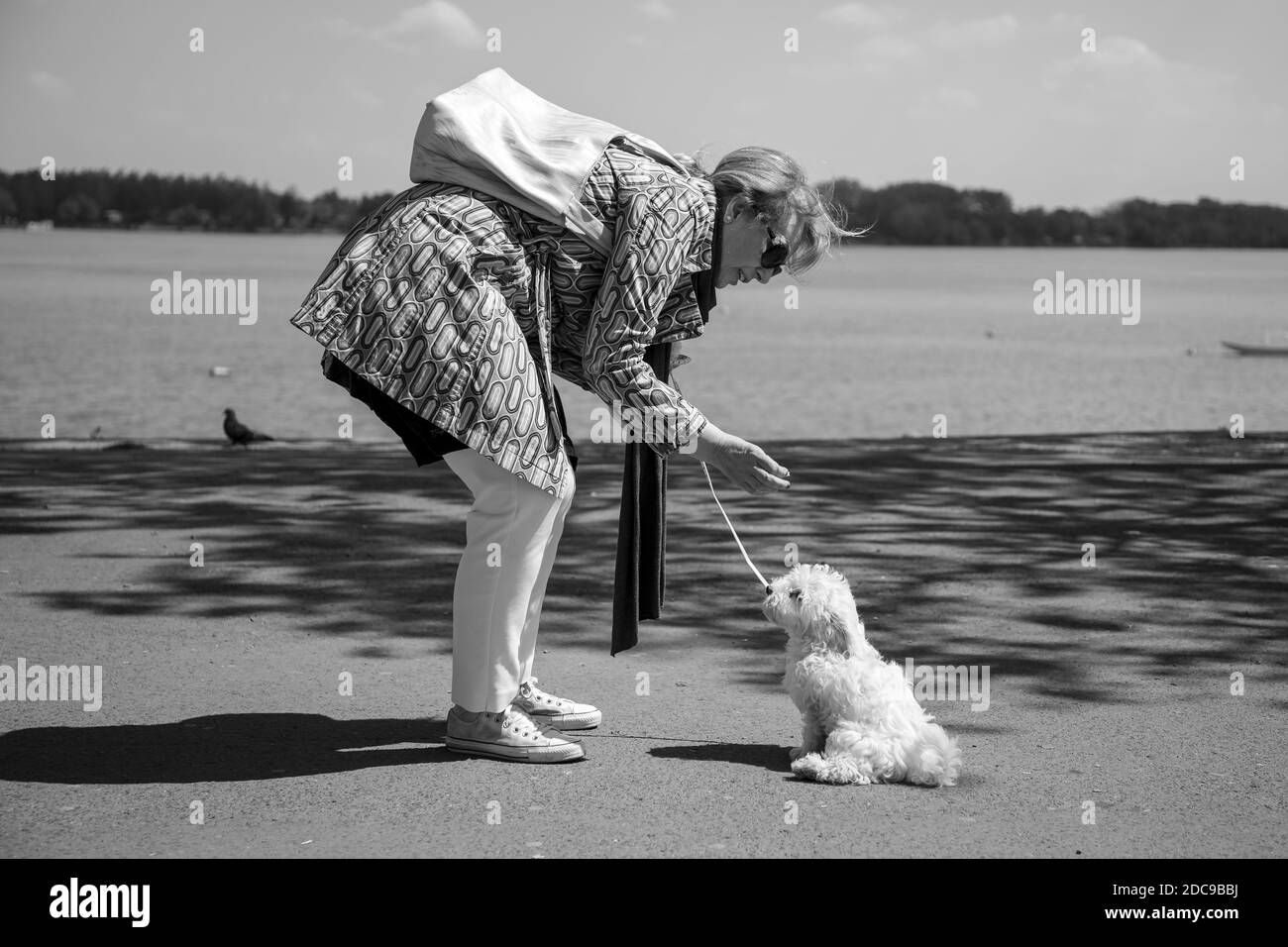Belgrado, Serbia, 19 aprile 2019: La donna allena un piccolo cane bianco sulla passeggiata del Danubio a Zemun (B/N) Foto Stock
