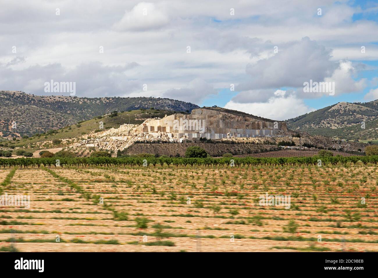 Cave di pietra, Andalusia, Spagna. In primo piano un campo appena piantato e frutteto di ulivi. La collina stessa essendo tagliata in blocchi di pietra voluminosi Foto Stock
