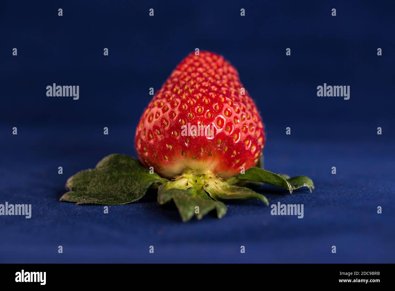 primo piano di fragola fresca Foto Stock