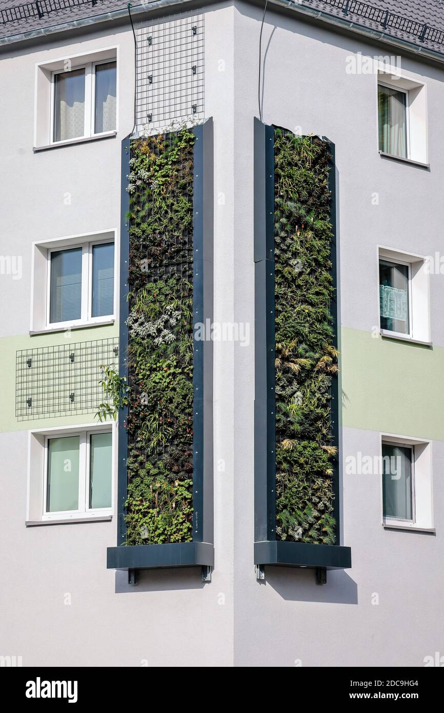 13.10.2020, Essen, Nord Reno-Westfalia, Germania - façade verde di edifici residenziali dell'Allbau Wohnungsbauge, recentemente ristrutturati Foto Stock