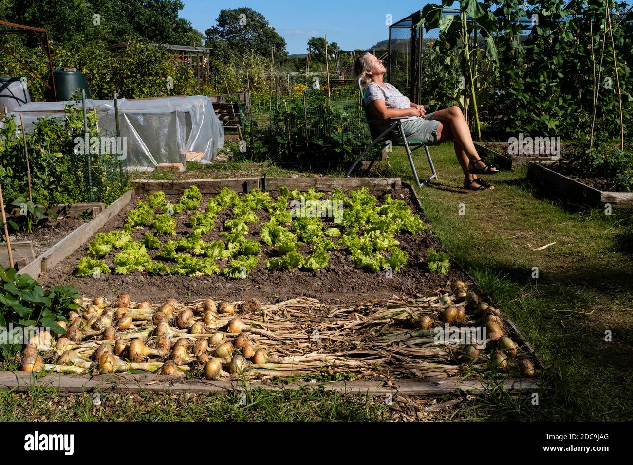 Una donna si rilassa nel sole ad un Allootment, Hassocks, Sussex, UK Foto Stock