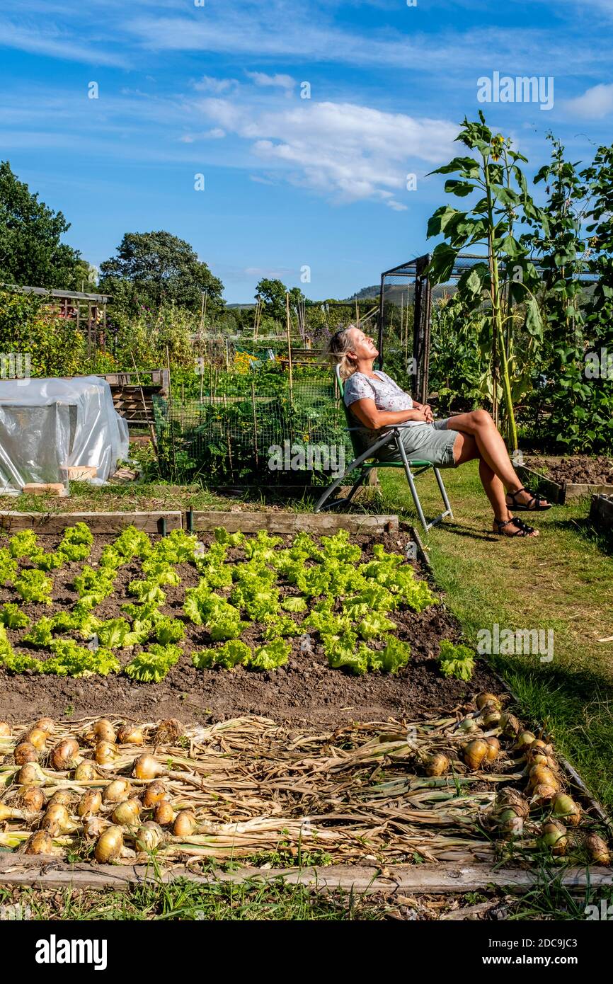 Una donna si rilassa nel sole ad un Allootment, Hassocks, Sussex, UK Foto Stock