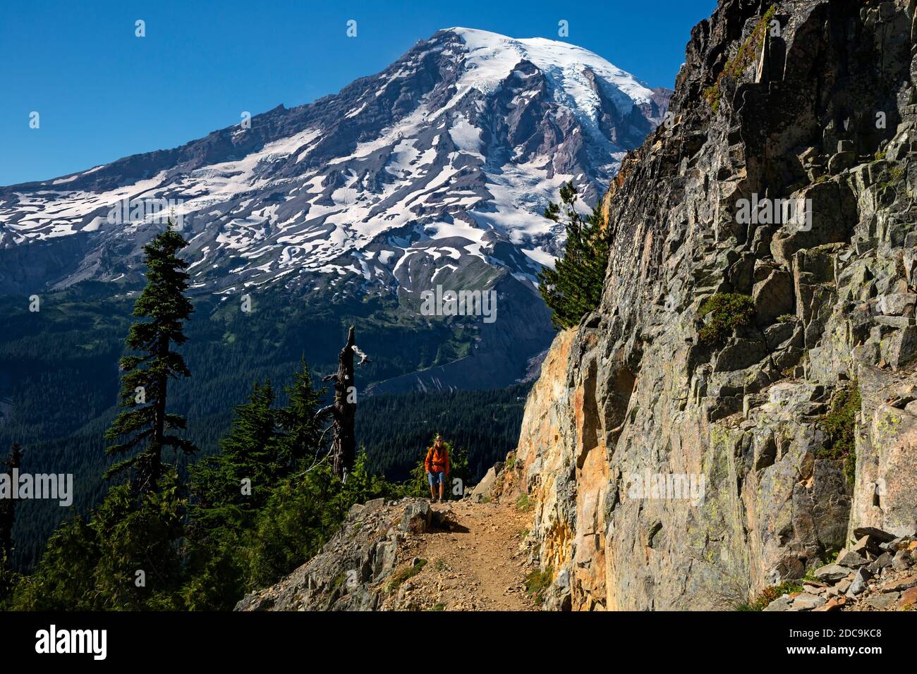 WA18289-00...WASHINGTON - Hiker si avvicina a Pinnacle Peak Saddle nel Tatoosh Range del Mount Rainier National Park. Foto Stock