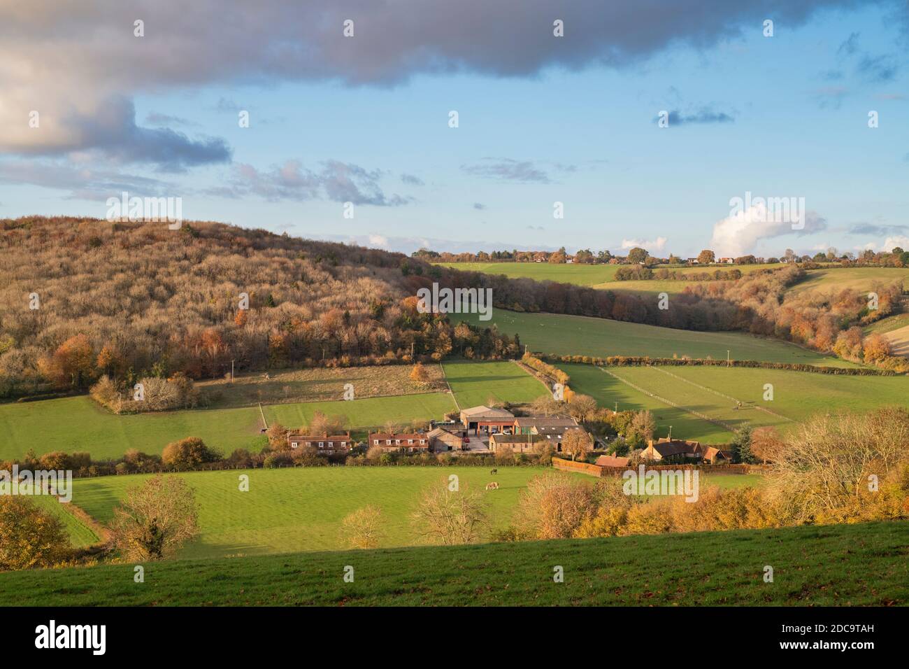 Nel tardo pomeriggio sole autunnale che si affaccia su una fattoria nella valle di Hambleden. Fingest, Buckinghamshire, Inghilterra Foto Stock