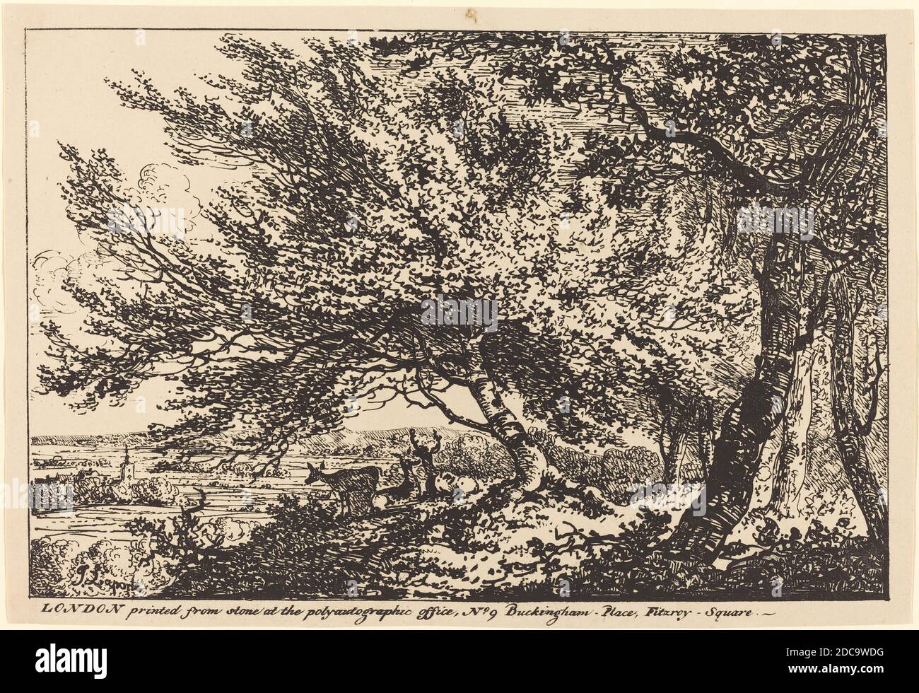 John Laporte, (artista), British, 1761 - 1839, Paesaggio con Cervo sotto alberi, esemplari di poliautografia, (serie), 1807, litografia a penna e a tusche Foto Stock
