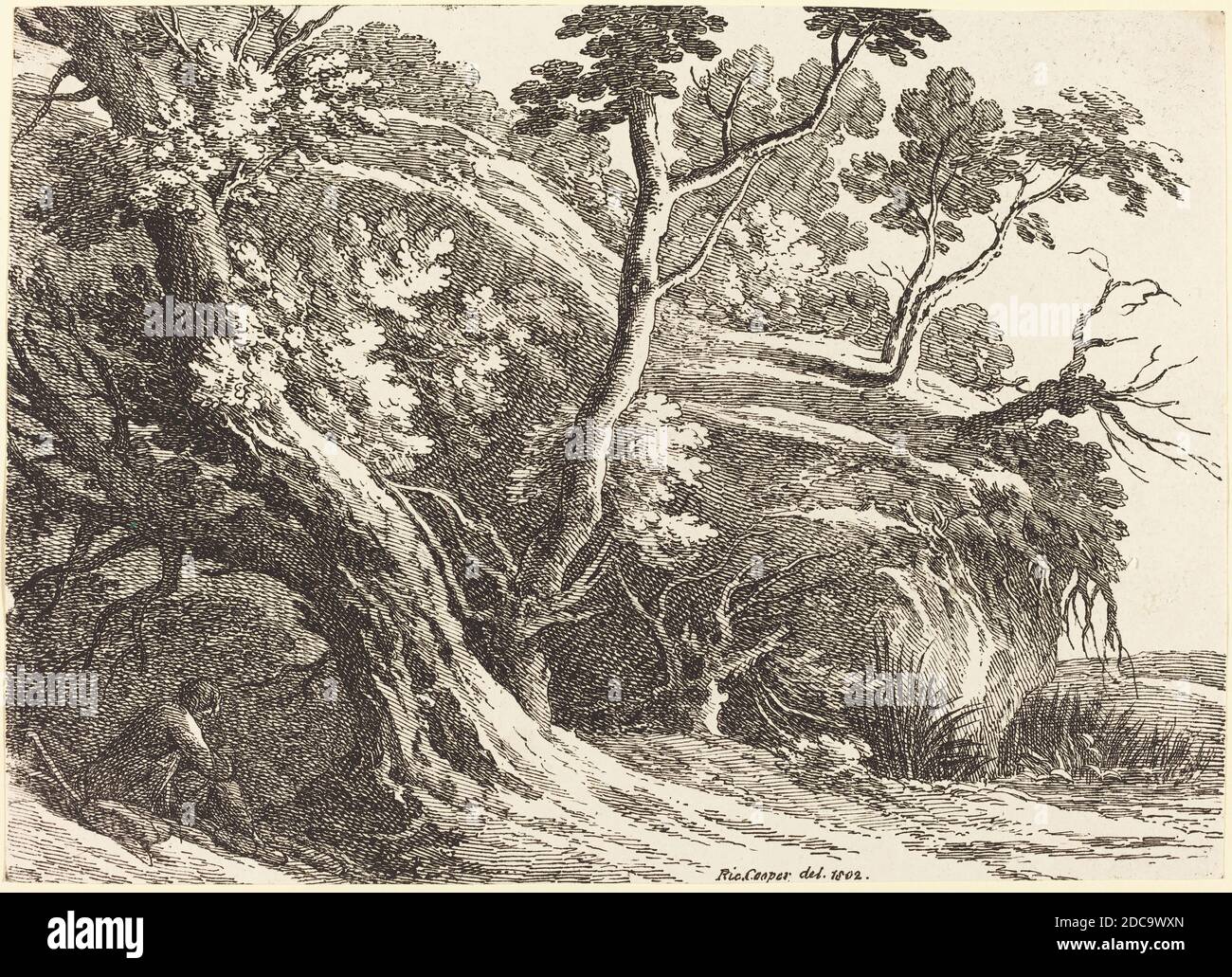 Richard Cooper II, (artista), British, 1740 - dopo il 1814, Paesaggio con grandi alberi, esemplari di poliautografia, (serie), 1802, litografia a penna e a tusche Foto Stock