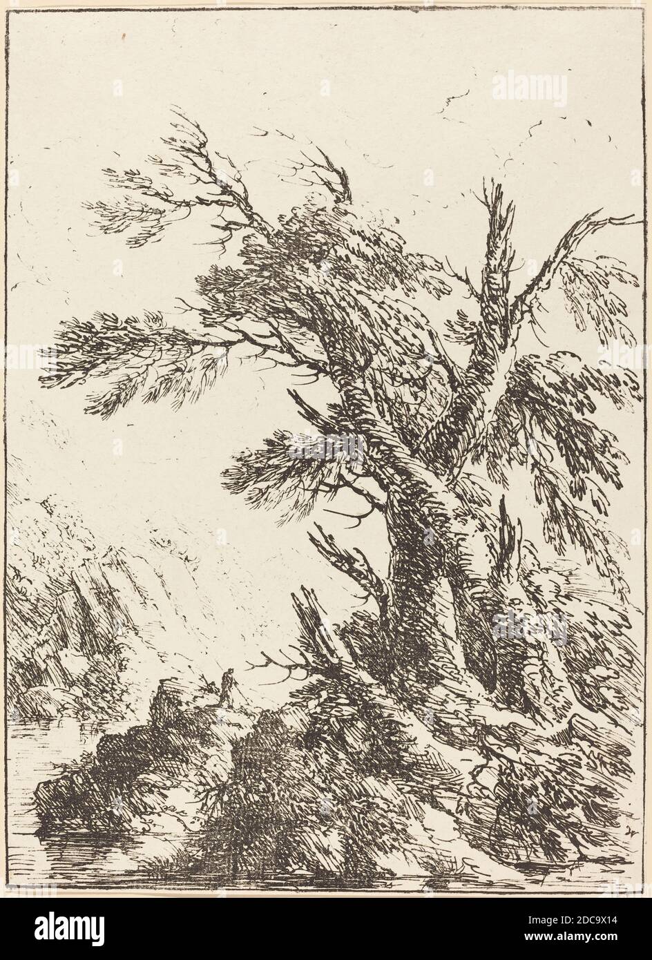 Henry Richard Greville, III conte di Warwick, (artista), britannico, 1779 - 1853, Paesaggio con alberi antichi dall'acqua, esemplari di poliautografia, (serie), 1803, litografia a penna e a tusche Foto Stock
