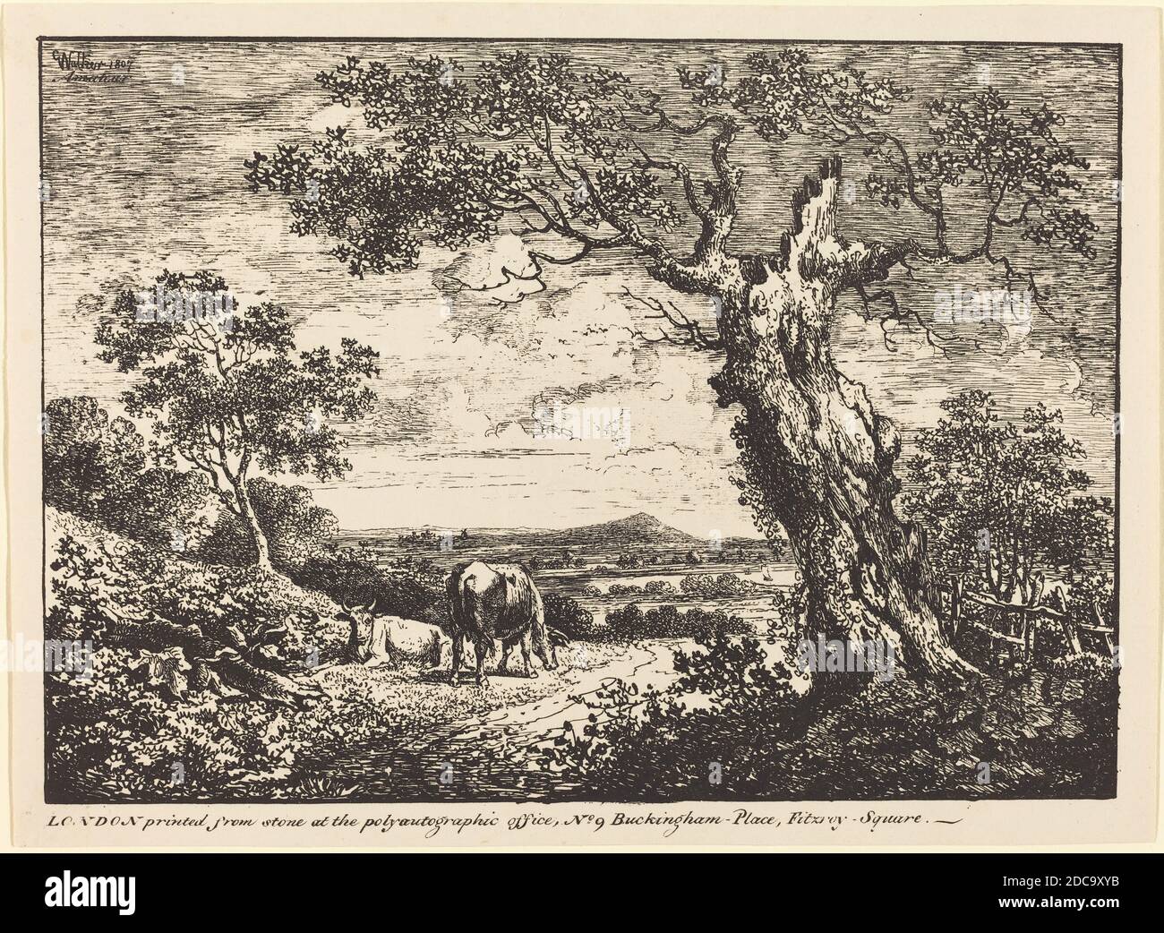 George Walker, (artista), britannico, attivo 1803/1815, Paesaggio con due mucche, esemplari di poliautografia, (serie), 1807, litografia a penna e a tusche Foto Stock