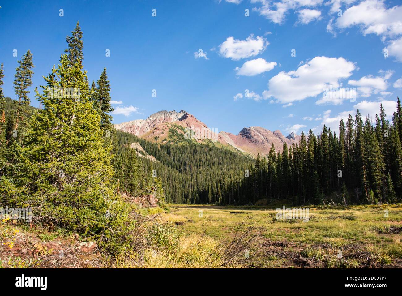 Splendido paesaggio alpino sul Maroon Bells Loop, Aspen, Colorado, USA Foto Stock