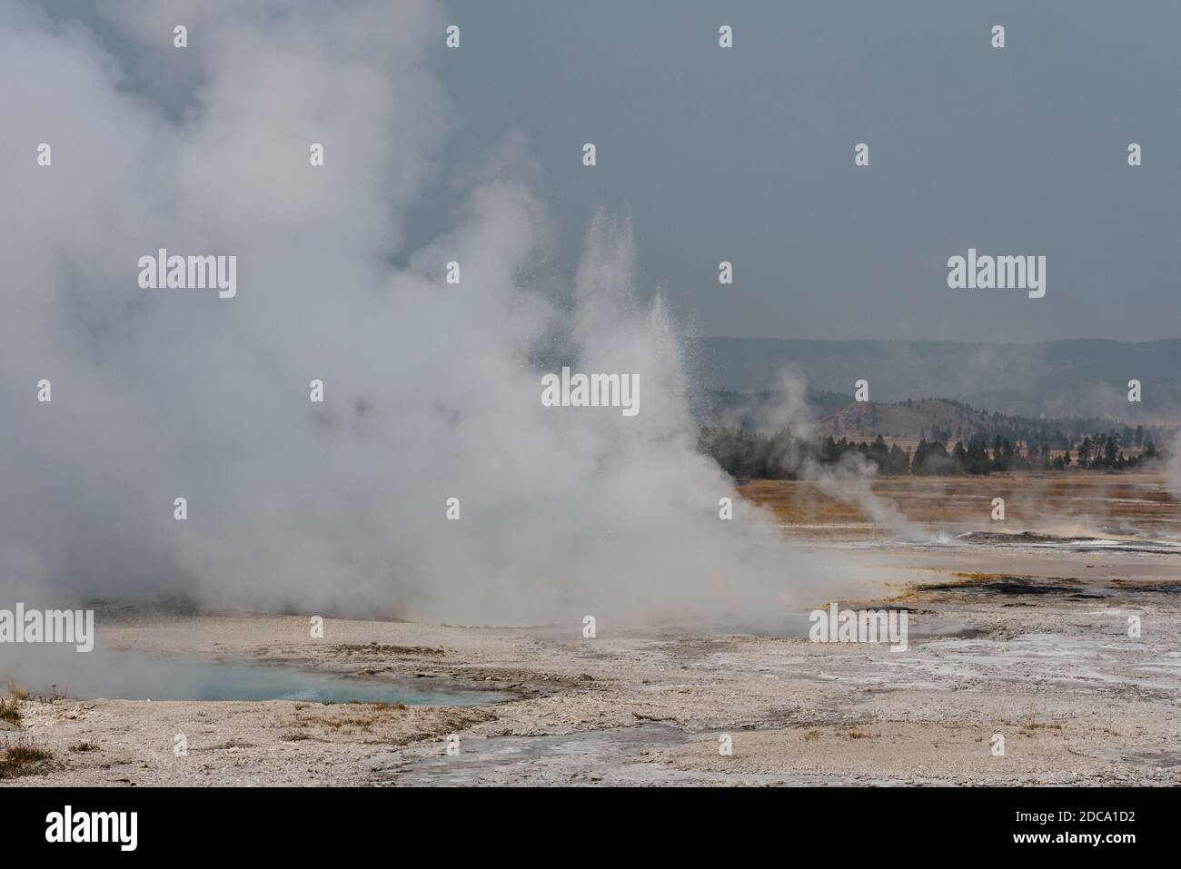 Clepsydra Geyser che erutta nel bacino inferiore del Geyser nel Parco Nazionale di Yellowstone, Wyoming, Stati Uniti. Foto Stock