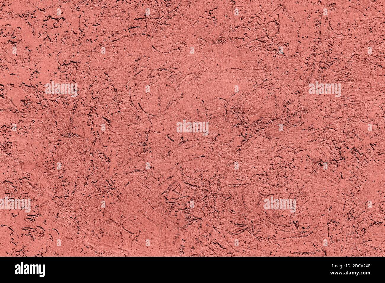 Corallo rosa a basso contrasto con fondo testurizzato in cemento Foto Stock