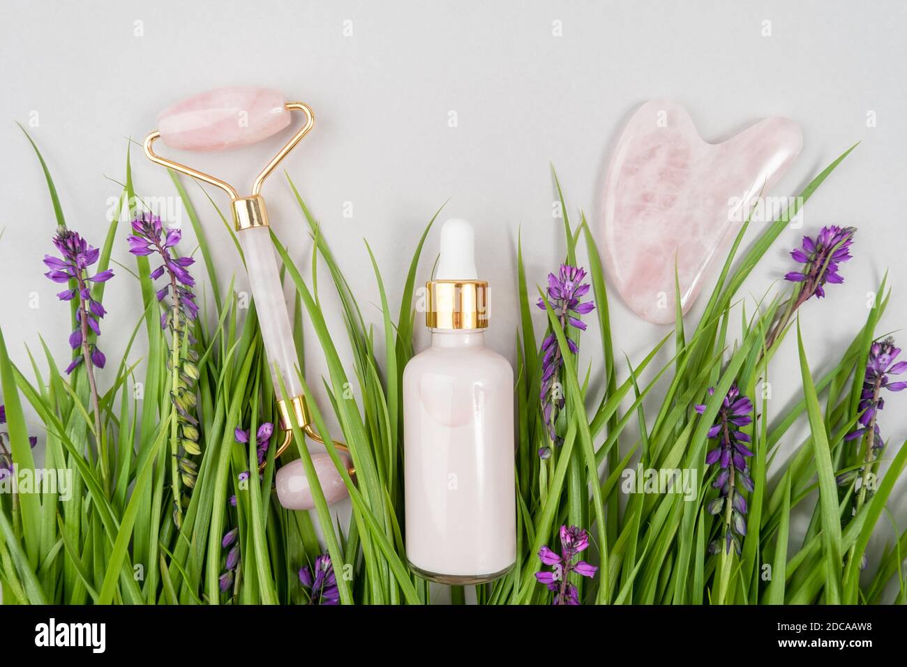 Rullo facciale in quarzo rosa cristallo, strumento di massaggio Gua sha e collagene anti-invecchiamento, siero in bottiglia di vetro tra l'erba verde, fiori viola. M viso Foto Stock