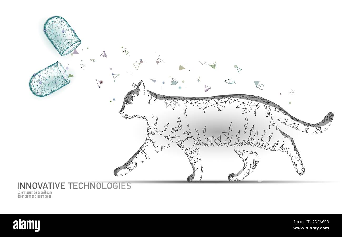 Trattamento farmacologico con capsula silhouette Cat. Modello banner farmacia veterinaria. Analisi infezione da virus. Vet cura assistenza medica. Vet medico ospedaliero Illustrazione Vettoriale