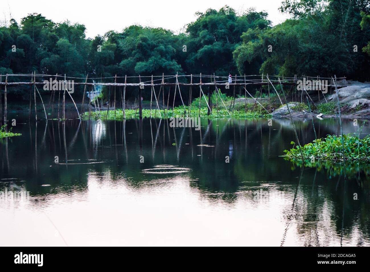 Ponte temporaneo di bambù sul fiume a golaghat Assam. Una passerella temporanea. Foto Stock