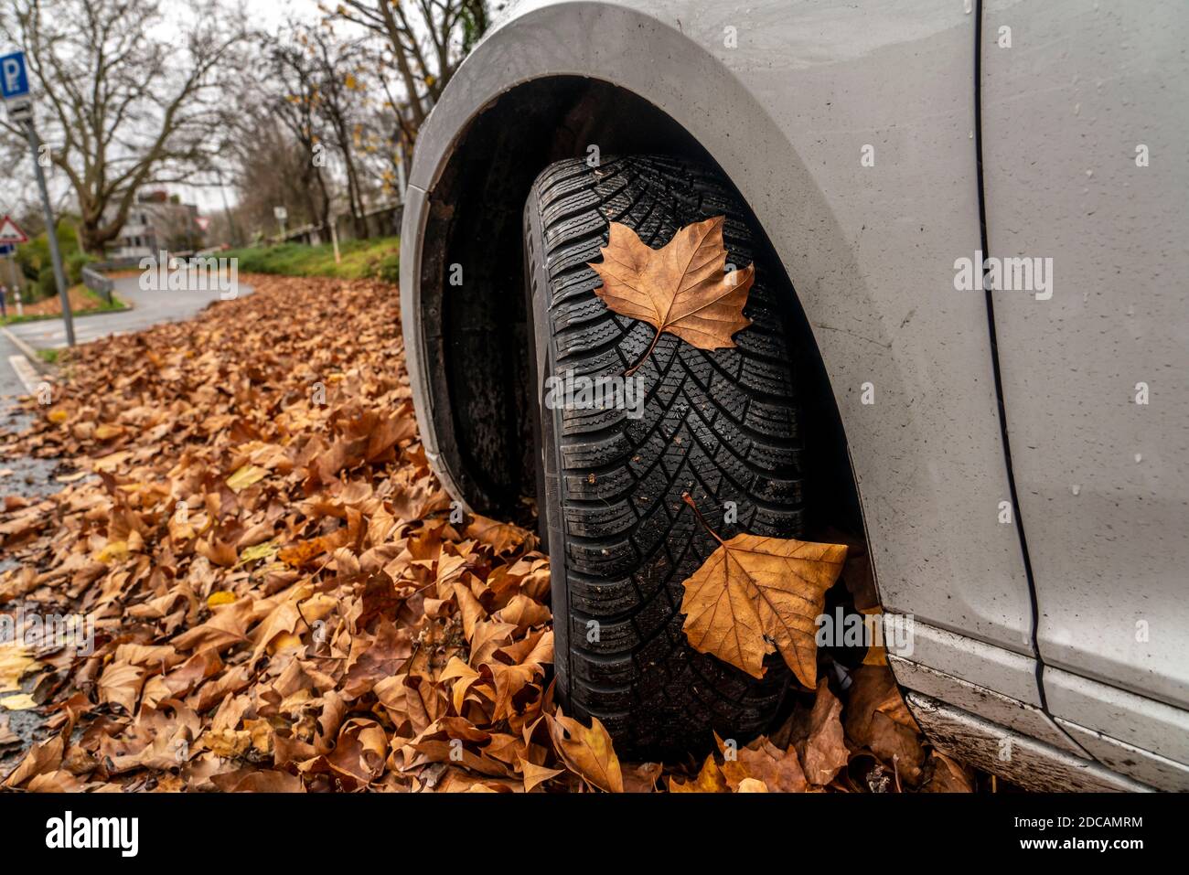 Auto, guida su foglie autunnali, terreno scivoloso, foglie, aderenza attraverso pneumatici invernali, Foto Stock