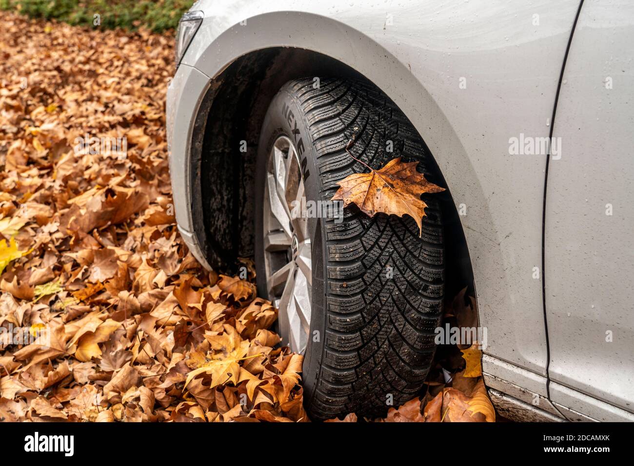 Auto, guida su foglie autunnali, terreno scivoloso, foglie, aderenza attraverso pneumatici invernali, Foto Stock