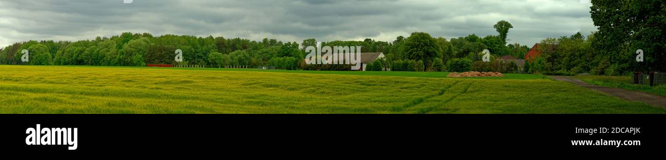 Paesaggio ampio panorama con un campo su un primo piano. Foto Stock