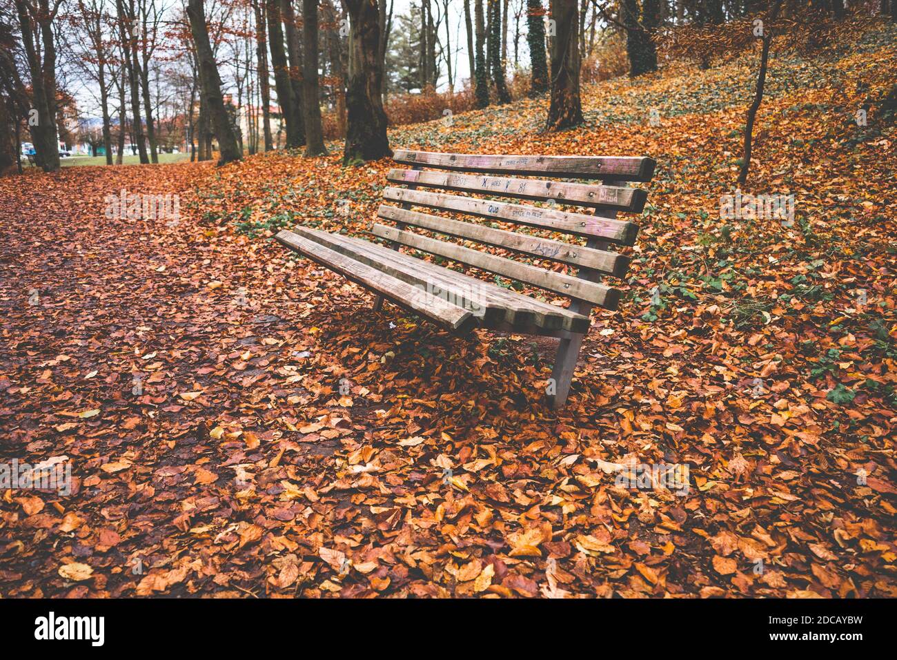 Panchina nel mezzo di foglie d'arancio che cadono dagli alberi. Foto Stock