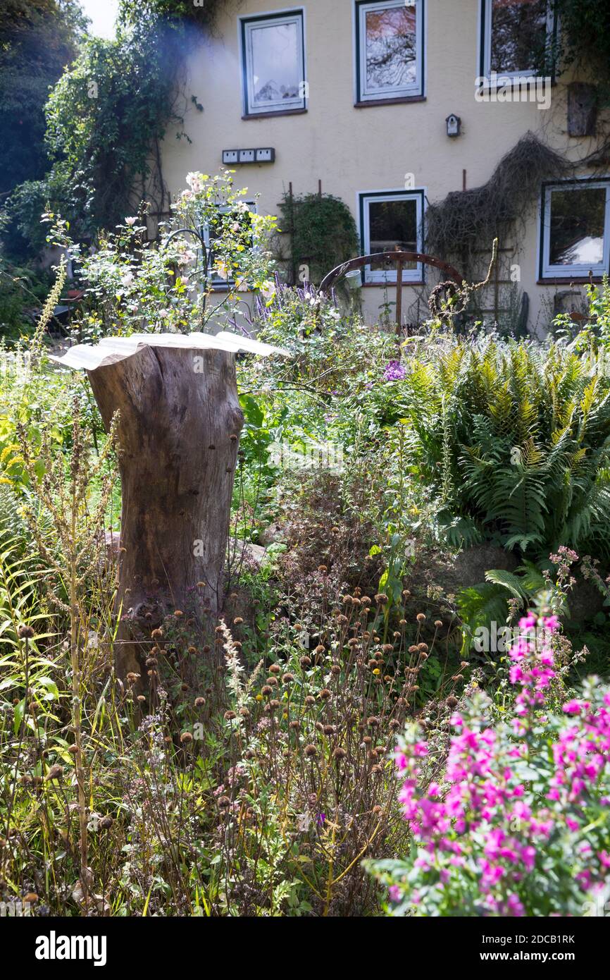 deadwood in un giardino, il serpente dell'albero è lasciato sopra come habitat per gli insetti, Germania Foto Stock