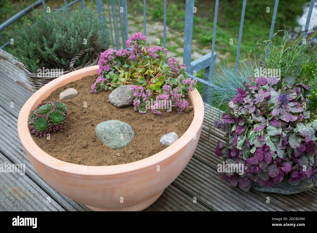 Fare un mini sandarium per le api selvatiche, mix di sabbia, argilla e terreno è riempito in una ciotola, pronto, serie foto 18/18, Germania Foto Stock