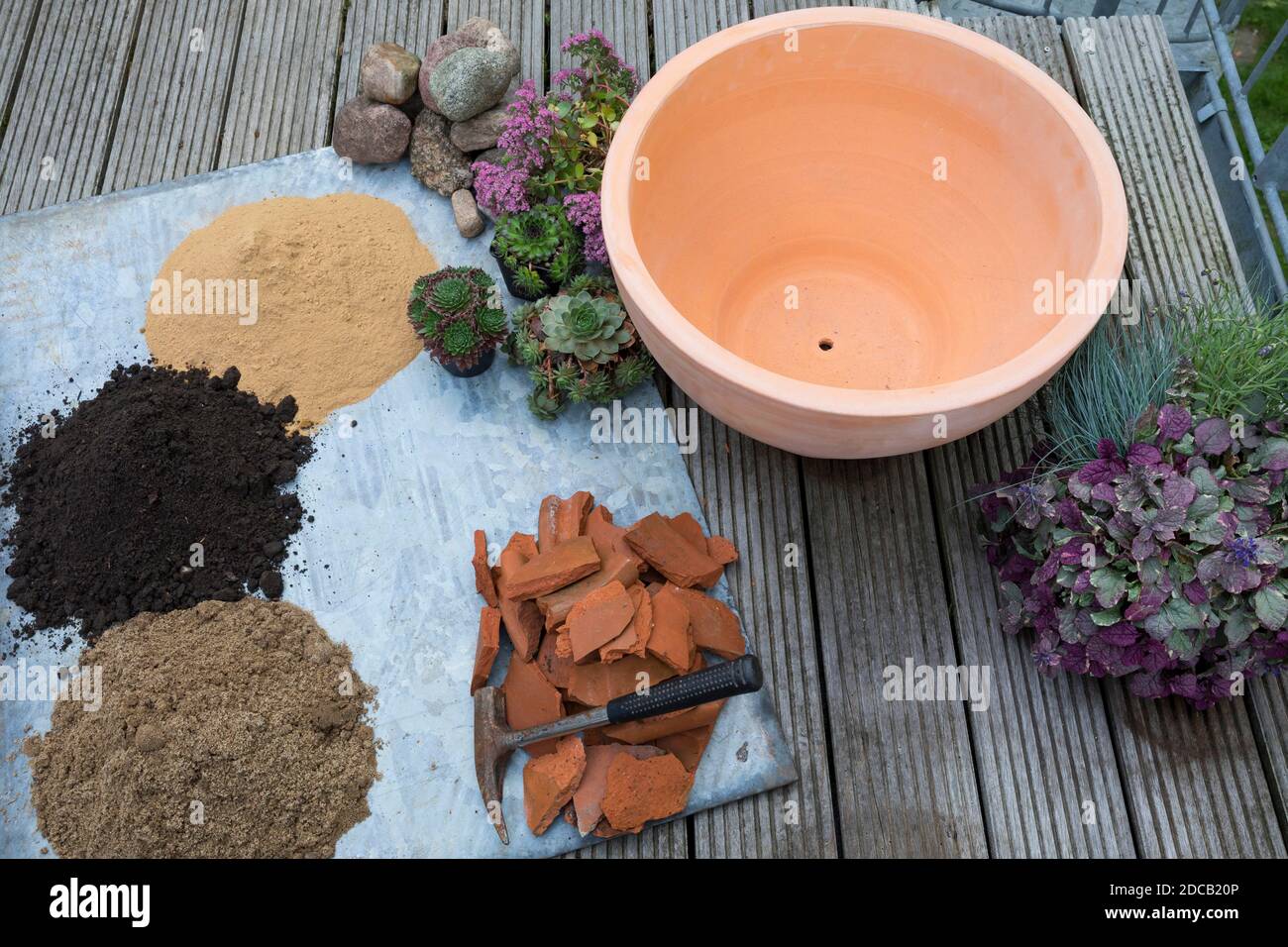 Fare un mini sandarium per le api selvatiche, miscela di sabbia, argilla e terreno è riempito in una ciotola, croccini per drenaggio, foto di serie 3/18, Germania Foto Stock