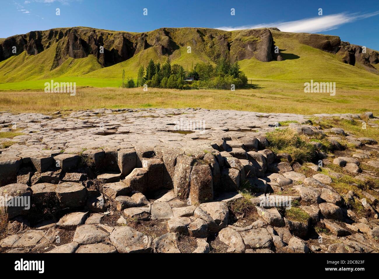 Pavimento della chiesa, pavimento naturale di basalto, Islanda, Kirkjubaejarklaustur Foto Stock