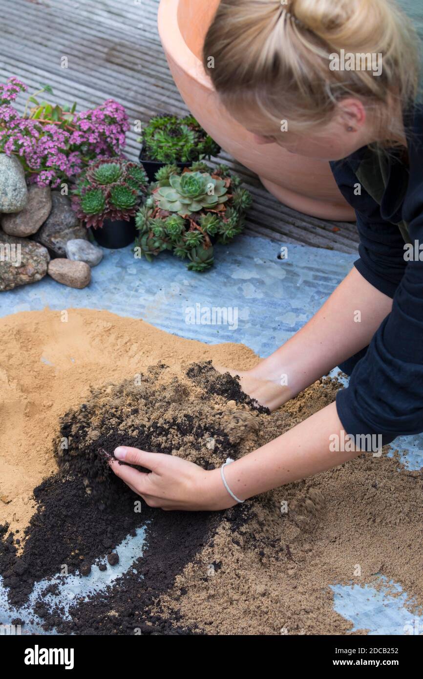 Fare un mini sandarium per le api selvatiche, la miscela di sabbia, argilla e terreno è riempito in una ciotola, foto di serie 8/18, Germania Foto Stock