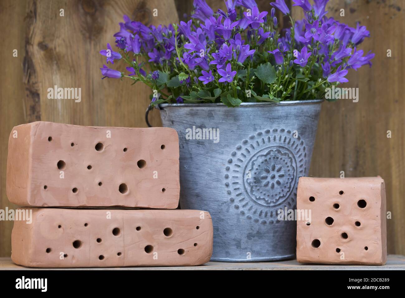 La scatola delle api è fatta di blocchi di argilla, blocchi pronti in un giardino, foto di serie 12/13, Germania Foto Stock