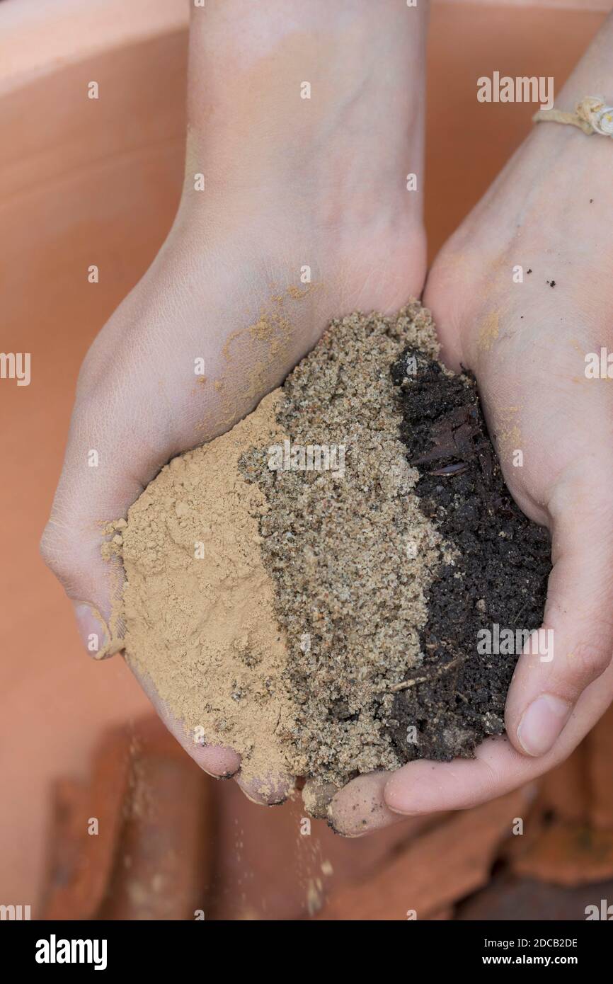 Fare un mini sandarium per le api selvatiche, la miscela di sabbia, argilla e terreno è riempito in una ciotola, foto di serie 12/18, Germania Foto Stock