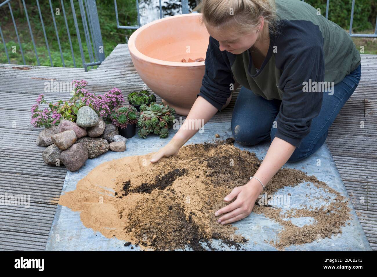 Fare un mini sandarium per le api selvatiche, la miscela di sabbia, argilla e terreno è riempito in una ciotola, foto di serie 9/18, Germania Foto Stock