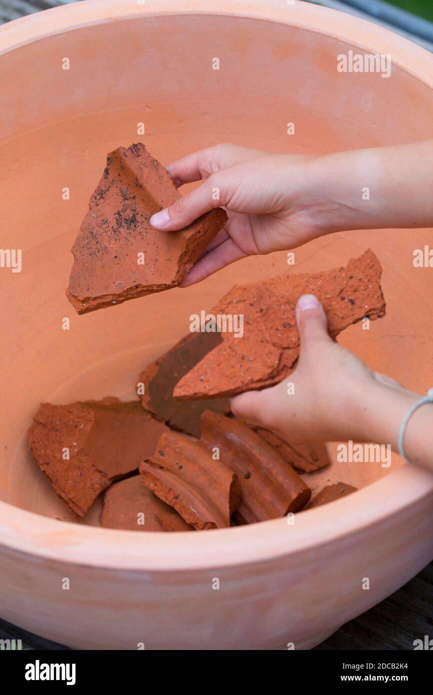 Facendo un mini sandarium per le api selvatiche, ciotola è riempita con i croccini per il drenaggio, foto di serie 5/18, Germania Foto Stock