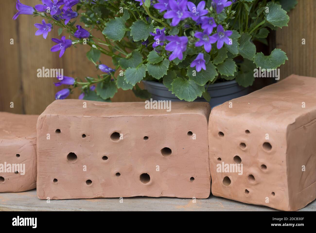 La scatola delle api è fatta di blocchi di argilla, blocchi pronti in un giardino, foto di serie 13/13, Germania Foto Stock