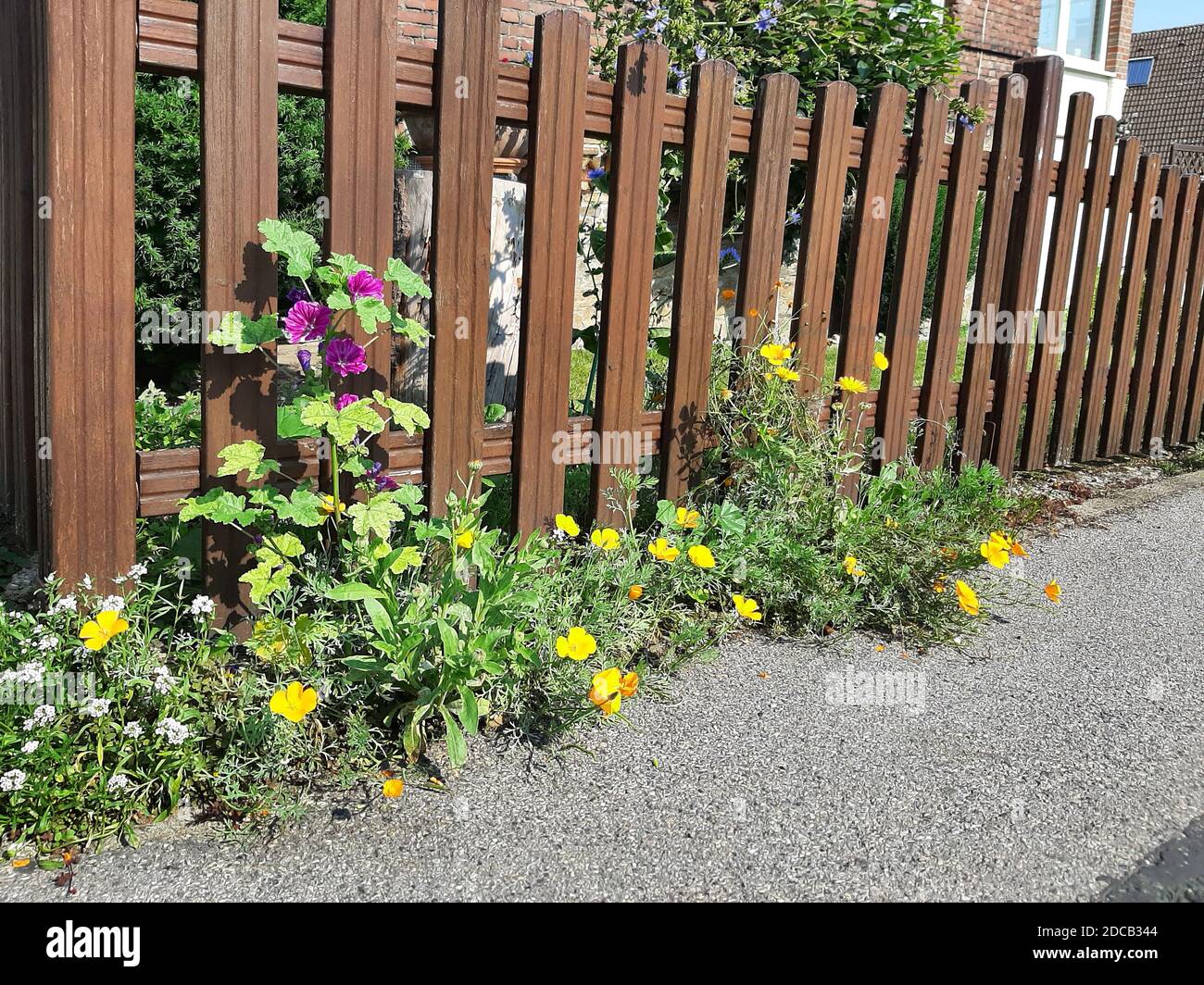 Fiori in una recinzione da giardino, Germania Foto Stock