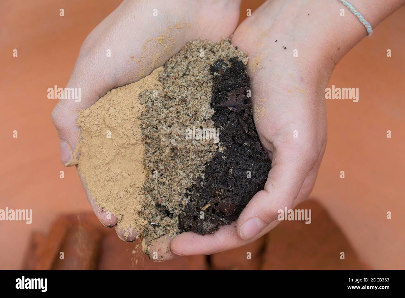Fare un mini sandarium per le api selvatiche, la miscela di sabbia, argilla e terreno è riempito in una ciotola, foto di serie 11/18, Germania Foto Stock