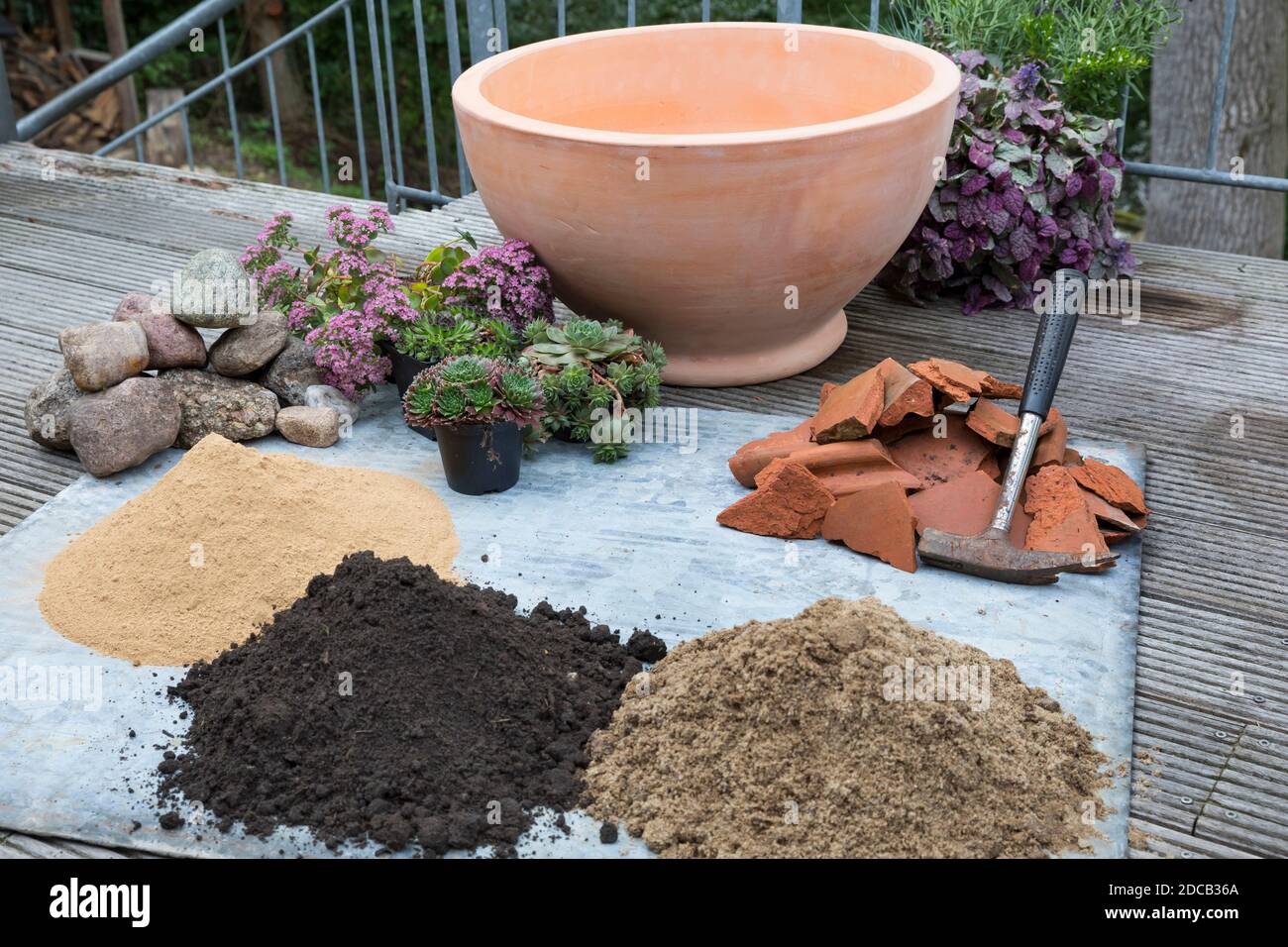 Fare un mini sandarium per le api selvatiche, la miscela di sabbia, argilla e terreno è riempito in una ciotola, croccini per drenaggio, foto di serie 2/18, Germania Foto Stock