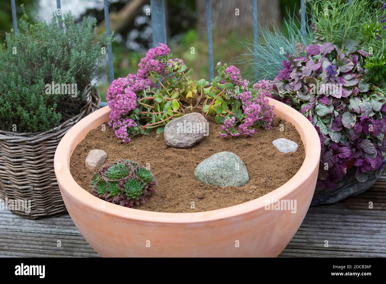 Realizzazione di un mini sandarium per le api selvatiche, miscela di sabbia, argilla e terreno, foto di serie 17/18, Germania Foto Stock