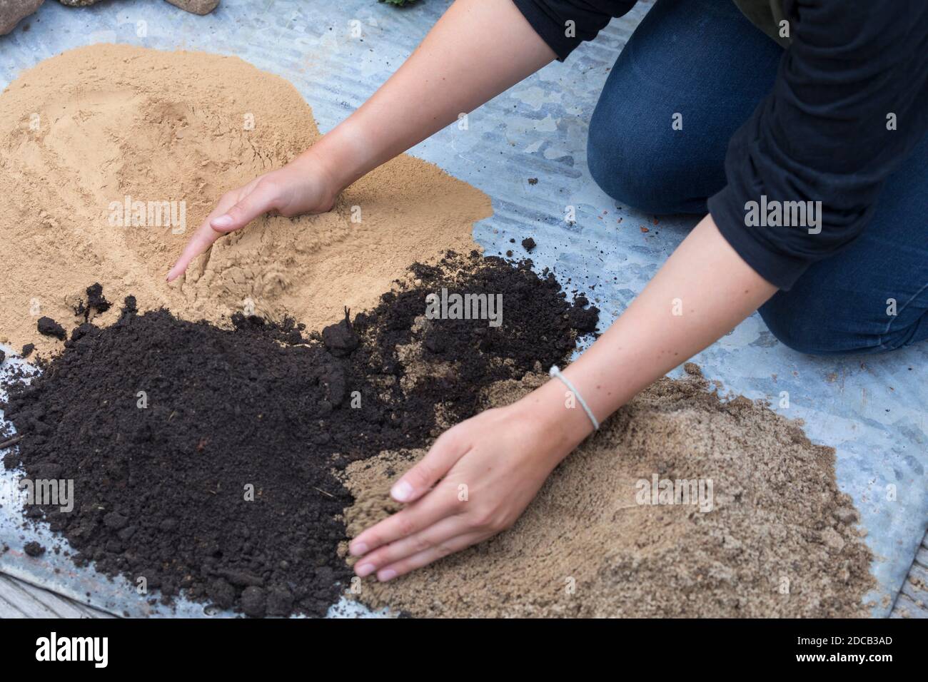 Fare un mini sandarium per le api selvatiche, la miscela di sabbia, argilla e terreno è riempito in una ciotola, foto di serie 7/18, Germania Foto Stock