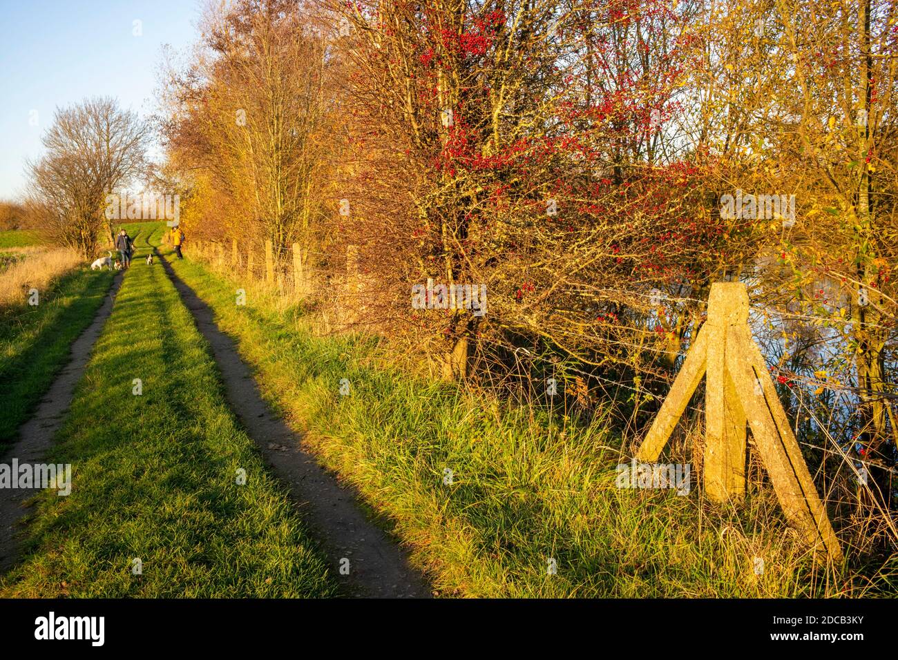 Allenati durante il Lock-Down, Thomas Wolsey Walk, Cawood, North Yorkshire, Regno Unito Foto Stock