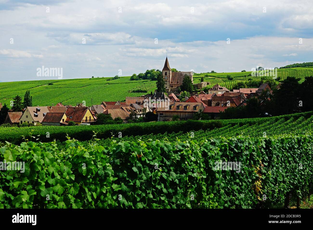 Paesaggio di Hunawihr, città medievale di Alsazia, Francia, circondato da vigneti Foto Stock