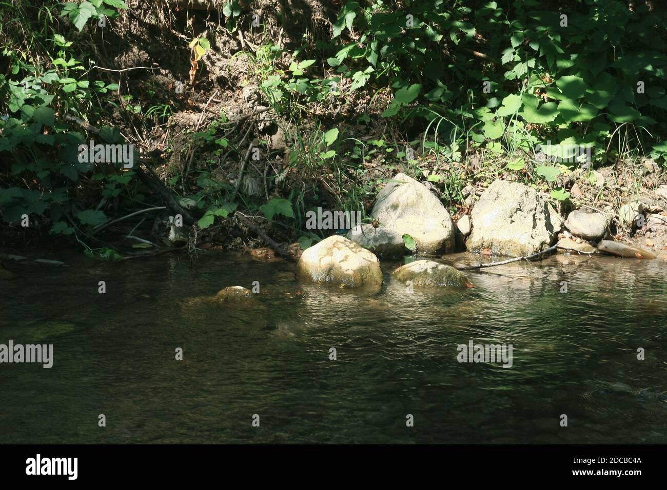 Foresta, fiume e rocce in estate Foto Stock