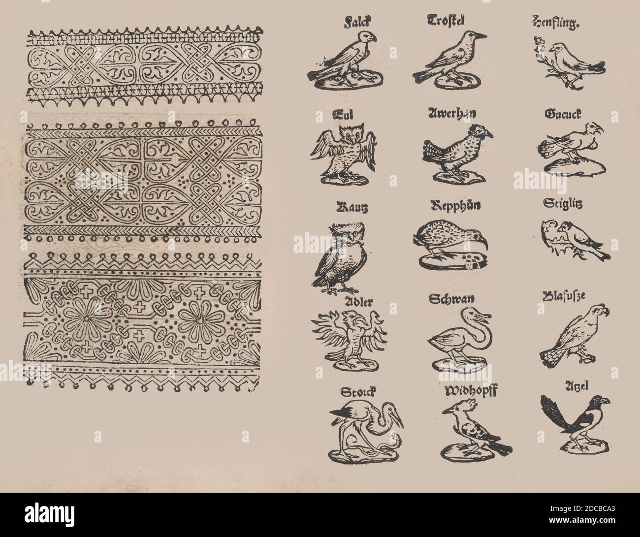 Modelbuch aller Art Nehens vn Stickens, 1535. Da un libro di disegni. Foto Stock