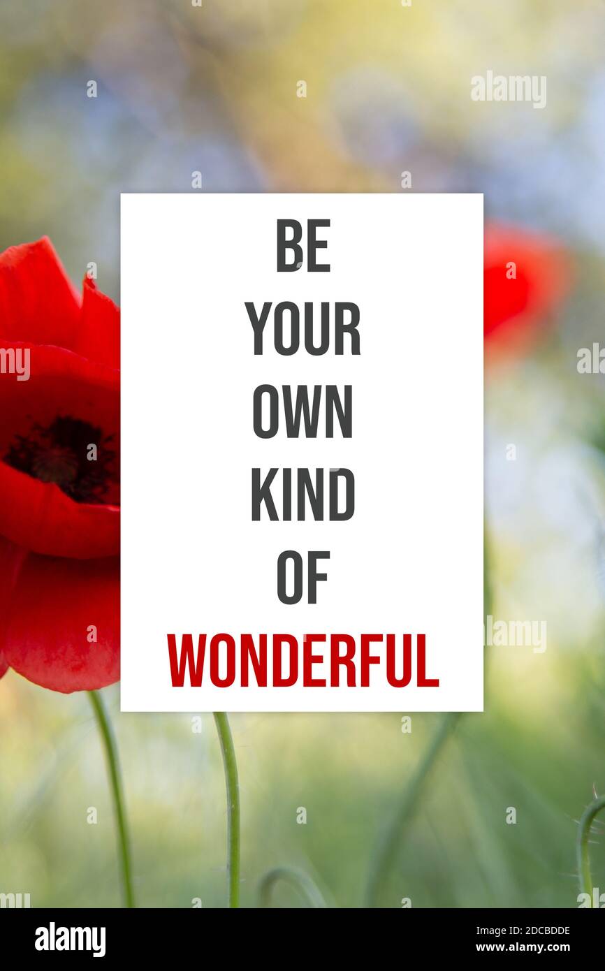 Sia il vostro proprio genere di poster motivazionale meraviglioso Foto Stock