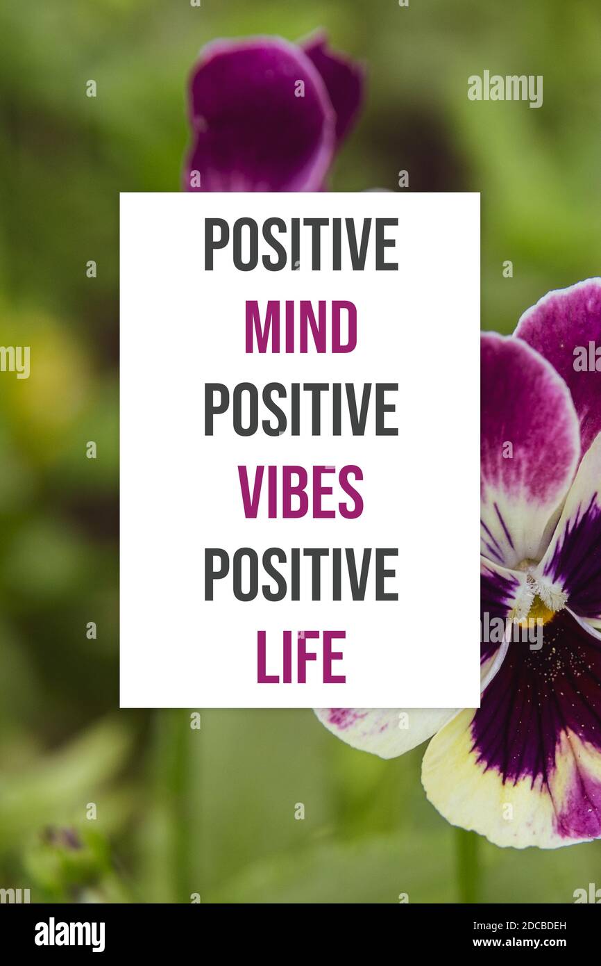 La mente positiva vibisce la vita positiva Foto Stock