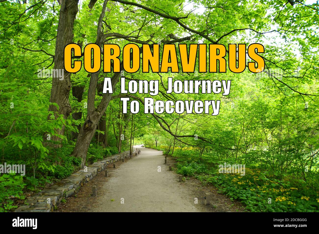 Coronavirus, un lungo viaggio verso il recupero con lo sfondo degli alberi verdi in primavera Foto Stock