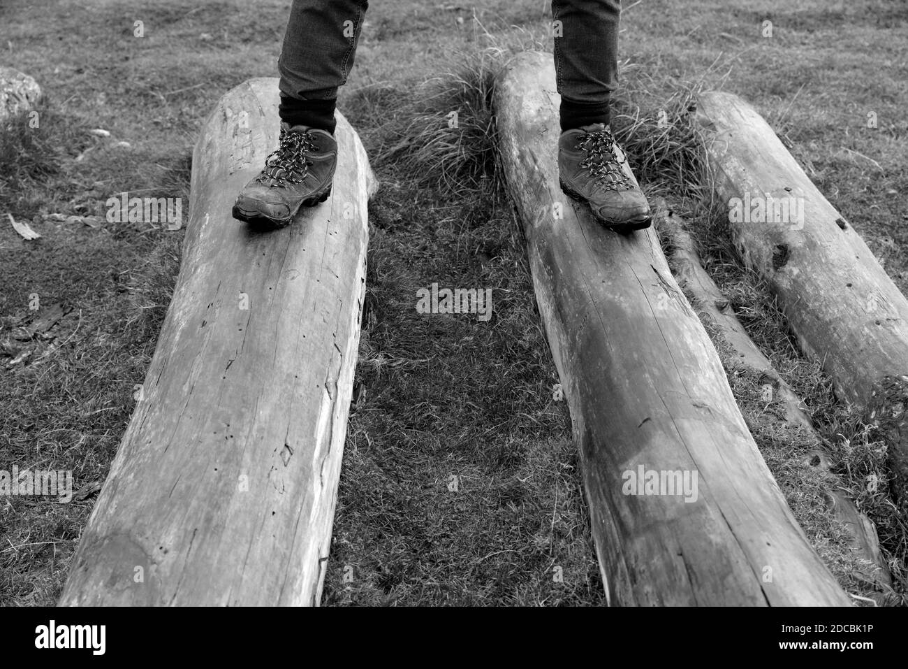 immagine in bianco e nero mans gambe e piedi su Tronchi di tronco di albero di legno all'esterno indossando scarponi da trekking.Maschile che cammina all'esterno fare esercizio in inverno Foto Stock