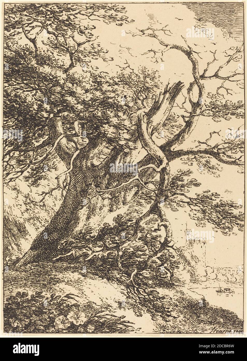 Thomas Hearne, (artista), British, 1744 - 1817, Old Tree, esemplari di poliautografia, (serie), 1803, litografia a penna e a tusche Foto Stock
